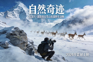 纪录片《自然奇迹》海报，摄影师在雪山拍摄野生动物